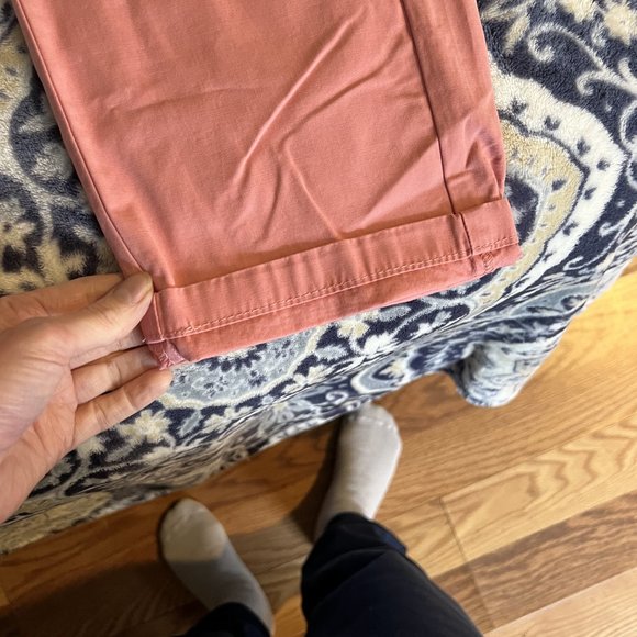 J Crew Pink Chinos naturally distressed size 24 Petite NWT - Picture 5 of 16
